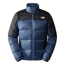 The North Face Puffer